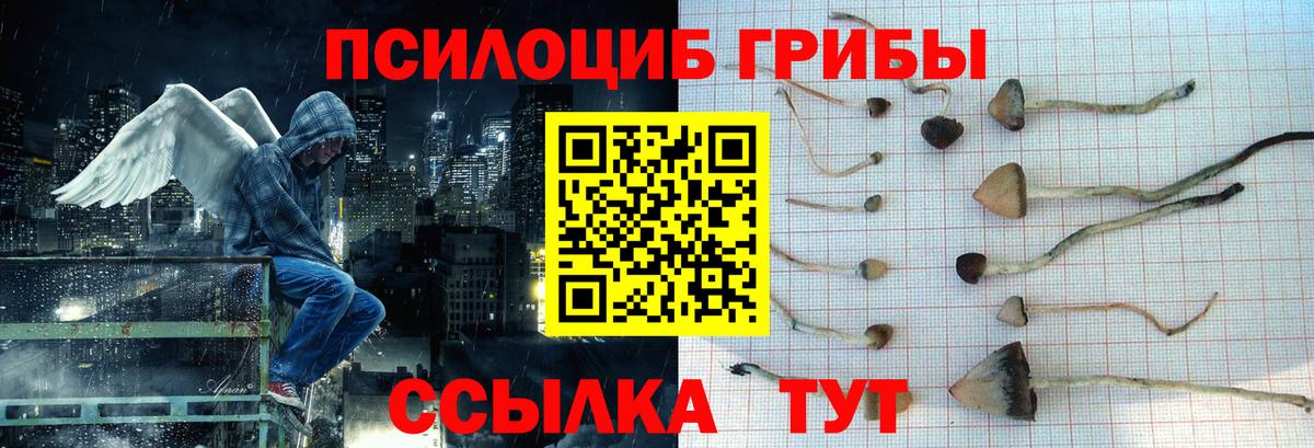 Псилоцибиновые грибы Psilocybine cubensis  Вход с VPN  Галлюциногенные грибы мицелий  Россия 